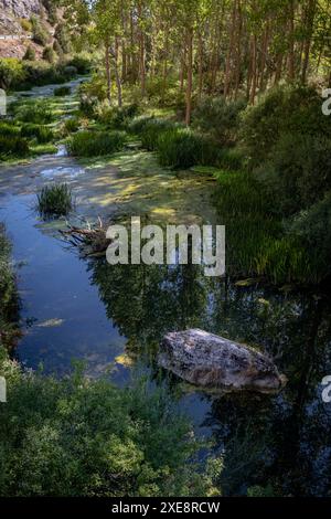 Die Geburt des Ucero-Flusses Stockfoto