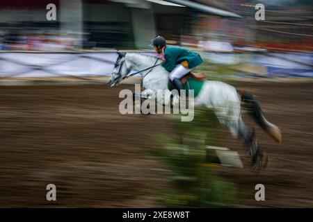 Bandung, Indonesien, 2008. März 2007: Der Pferdesport. Stockfoto