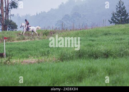 Bandung, Indonesien, 2008. März 2007: Der Pferdesport. Stockfoto