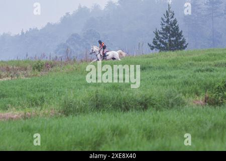 Bandung, Indonesien, 2008. März 2007: Der Pferdesport. Stockfoto