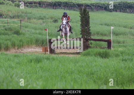 Bandung, Indonesien, 2008. März 2007: Der Pferdesport. Stockfoto