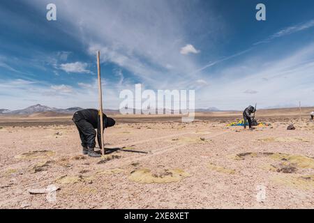 Männer, die traditionelles Vicuña-Chaku aufführten, traten in den Anden an einem sonnigen Tag mit Wolken und blauem Himmel auf Stockfoto