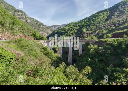 Steinbrücke über die Schlucht von Daluis, regionales Naturschutzgebiet, Südfrankreich Stockfoto