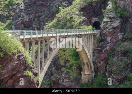 Steinbrücke über die Schlucht von Daluis, (Pont de la Mariée), Alpes-Maritimes Frankreich Stockfoto