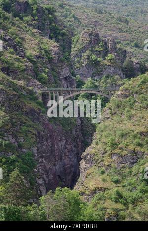 Steinbrücke über die Schlucht von Daluis, (Pont de la Mariée), Alpes-Maritimes Frankreich Stockfoto