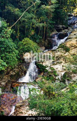 Kleiner Wasserfall in den Bergen der Sierra Nevada, Kolumbien Wildnis Landschaft. Stockfoto