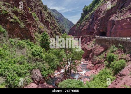 Bergstraße in den Schluchten von Cians, regionales Naturschutzgebiet, Südfrankreich Stockfoto