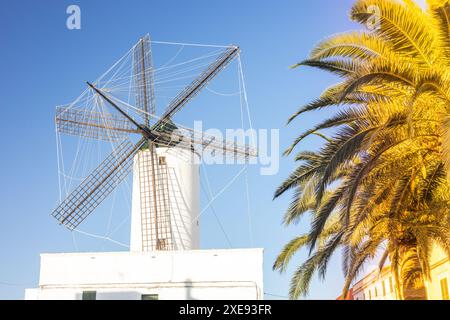 Wunderschöne weiße Windmühle mit einem schwarzen Dach vor dem Hintergrund des Himmels und Palmblättern. Ciutadella auf der spanischen Insel Menorca, Spanisch Hi Stockfoto