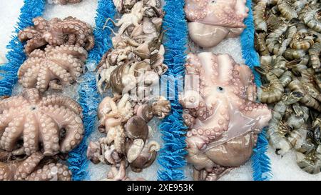 Eine Auswahl an frischen Kraken und Garnelen wird auf einem Fischmarkt auf Eis präsentiert Stockfoto