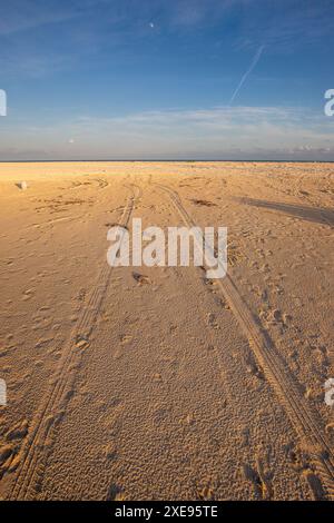 Reifenspuren im Sand am Strand Stockfoto