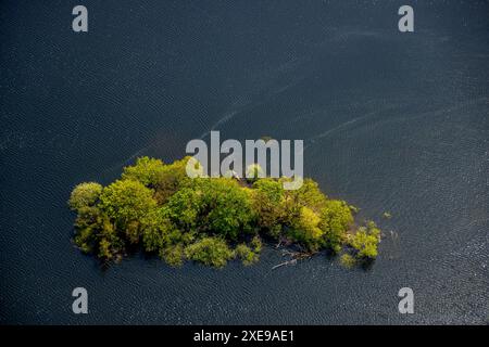 Aus der Vogelperspektive, Rursee Rurtalsperre mit bewaldeter Insel vor der Halbinsel Eschauel, Kajakfahrer in einer Bucht, Nationalpark Eifel, Schmidt, Nideggen, Nordrhein Stockfoto