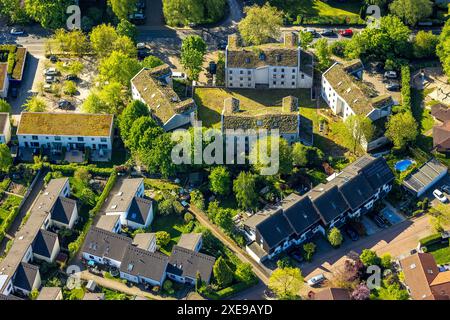 Luftaufnahme, EnergyHouses mit begrünter Dachbepflanzung, gelbe Fensterfronten, Westender Weg, Westende, Herdecke, Ruhrgebiet, Nordrhein-Westfalen, Deutsch Stockfoto