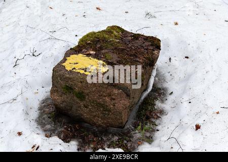 Großer brauner Felsbrocken, bedeckt mit Moos und den Blättern des letzten Jahres, im Schnee auf geschmolzenem Boden. Stockfoto