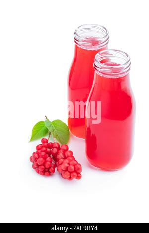 Schisandra-Beerensaft in Glasflaschen isoliert auf weiß Stockfoto