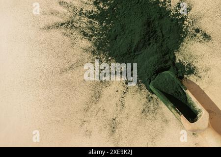 Bio-Blaualgen-Spirulina-Pulverfutter im Holzlöffel. Kopierraum für Ihren Text gesundheitliche Vorteile von Spirulina Chlorella. Stockfoto