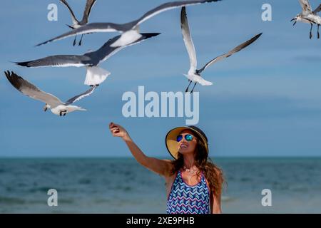 Seaside Serenity: Ein wunderschöner Zufluchtsort mit Möwen und Snacks Stockfoto