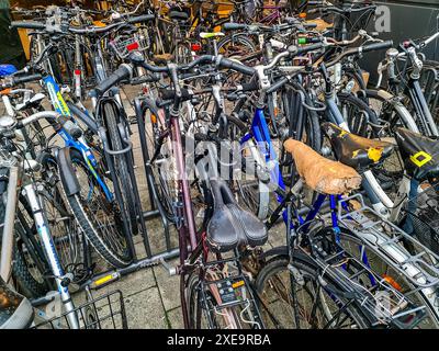 Kiel, Deutschland - 26. Juni 2024: Zahlreiche geparkte Fahrräder auf einem großen Fahrradparkplatz Stockfoto