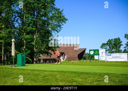 . Amateur-Europameisterschaft - Zweiter Übungstag. Farum, Danmark. Juni 2024. Stockfoto