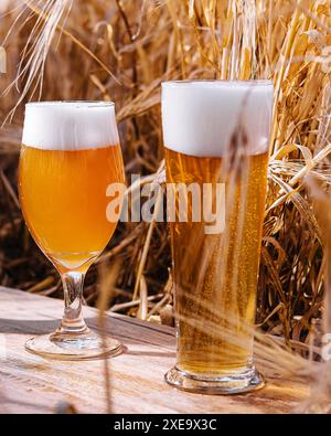 Helle, ungefilterte und dunkle Gläser Bier auf einem Weizenfeld Stockfoto