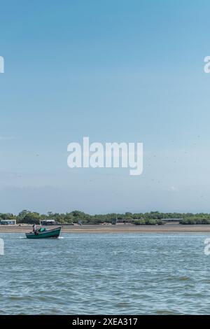 Blaue Bootsspitze in den Mangroven von tumbes bei Ebbe an einem sonnigen Tag und blauem Himmel umgeben von Bäumen Stockfoto