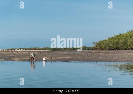 Blaue Bootsspitze in den Mangroven von tumbes bei Ebbe an einem sonnigen Tag und blauem Himmel umgeben von Bäumen Stockfoto