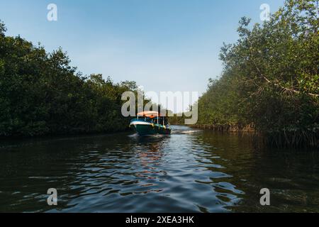 Blaue Bootsspitze in den Mangroven von tumbes bei Ebbe an einem sonnigen Tag und blauem Himmel umgeben von Bäumen Stockfoto