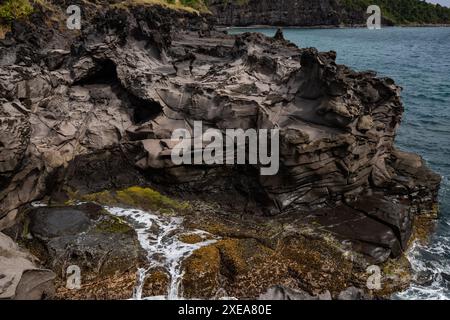 Natur in einer besonderen Landschaft. Eine felsige Küste am Meer. Guadeloupe Stockfoto