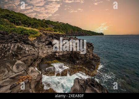 Natur in einer besonderen Landschaft. Eine felsige Küste am Meer. Guadeloupe Stockfoto