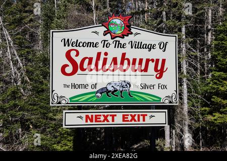 Willkommen im Schild „Village of Salisbury“ auf der NB 106 in New Brunswick, Kanada Stockfoto