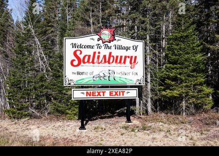 Willkommen im Schild „Village of Salisbury“ auf der NB 106 in New Brunswick, Kanada Stockfoto