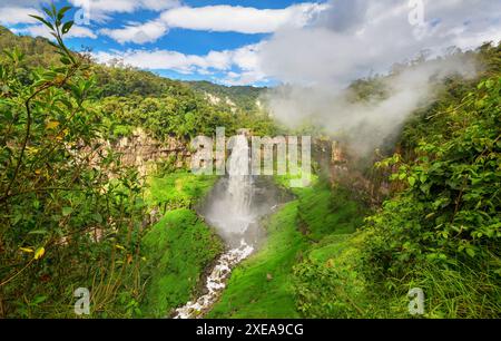 Regenwald in Kolumbien Stockfoto