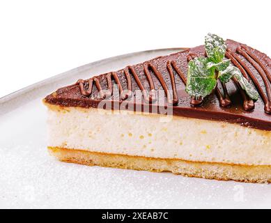 Ein Stück Schokoladenkäsekuchen mit Minzgeschmack auf Teller Stockfoto