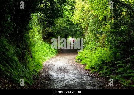 Zwei Rucksacktouristen auf einer unbefestigten Straße Stockfoto