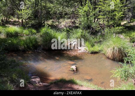 Blick auf den Verde River von der ersten Kreuzung in Payson, Arizona. Stockfoto