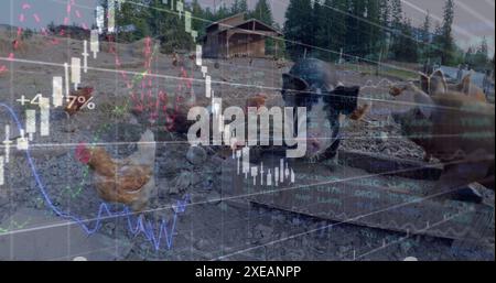 Abbildung von Finanzdiagrammen über Nutztieren Stockfoto