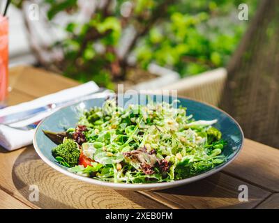 Frischer grüner Salat aus grüner Blättermischung Stockfoto
