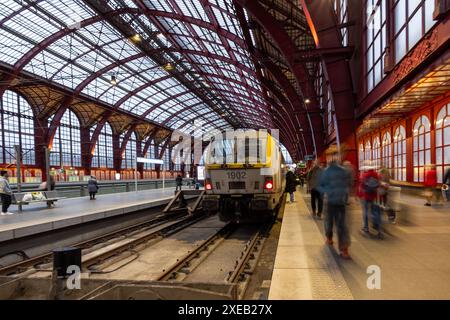 Antwerpen, Belgien, 25. Januar 2024, Abfahrten am Abend am Hauptbahnhof Antwerpen Stockfoto