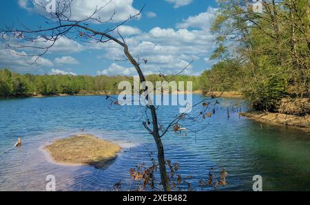 Ruhige Einsamkeit Am See Stockfoto