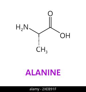 Chemische Moleküle der Alanin-Aminosäure, essentielle Kettenstruktur CH3CHNH2COOH. Vektor-wissenschaftliches Modell oder Bildungsformel, enthält eine Methylgruppe, Amingruppe, Carboxylgruppe und zentralen Kohlenstoff Stock Vektor