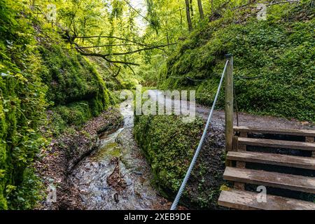 Wanderweg durch die Drachenschlucht in Eisenach Thüringen Stockfoto