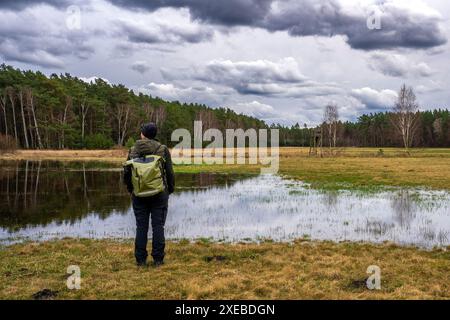 See auf einer Wiese in der oberlausitzer Heide- und Teichlandschaft 1 Stockfoto