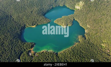 Der berühmte Black Lake im Durmitor Park Stockfoto