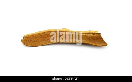 Getrocknete Lingzhi-Pilzscheibe (auch Reishi-Pilz in Japan, Lingcheu in Thailand, Lingzhi-Pilz in China, Ganoderma Lucidum Karst genannt). Stockfoto