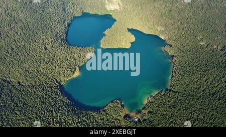 Der berühmte Black Lake im Durmitor Park Stockfoto