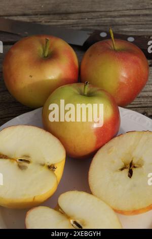 Malus domestica Elstar, Apfel Stockfoto