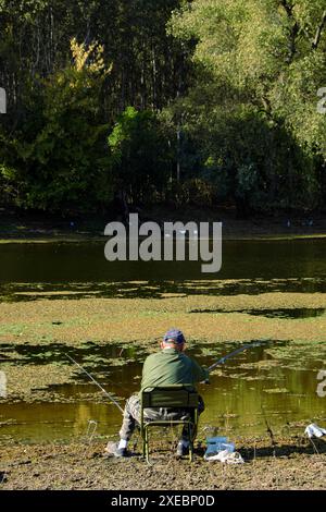 Menschenfischerei vom Ufer des Naturschutzgebiets Koviljsko-Petrovaradinski Rit am linken Ufer der Donau, Vojvodina, Serbien Stockfoto