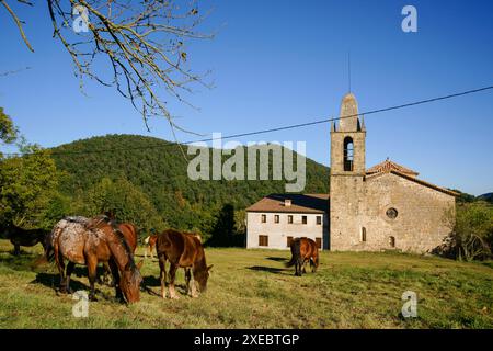 Kirche Sant Miquel de la Cot. Olot. Garrotxa. Girona. .Catalunya.Spanien. Stockfoto