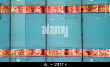 Agrararchitektur: Leuchtende LED-Panels in vertikaler Landwirtschaftsstruktur Stockfoto