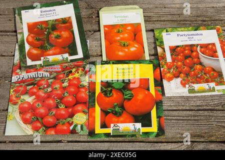 Solanum esculentum, Tomaten, Samen Stockfoto