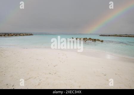 Karibischer Strand mit Palmen, weißem Sand und türkisfarbenem Meer. Plage de Sainte Anne, Guadeloupe Stockfoto